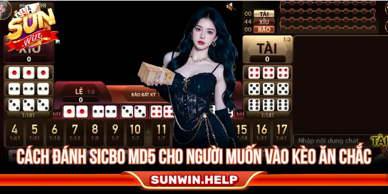 Cách đánh Sicbo MD5 cho người muốn vào kèo ăn chắc