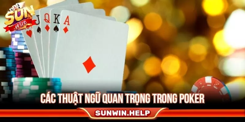 Thuật ngữ cần biết của bài poker cho tân binh mới