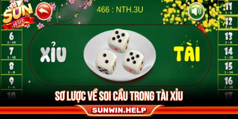 Sơ lược về soi cầu trong tài xỉu