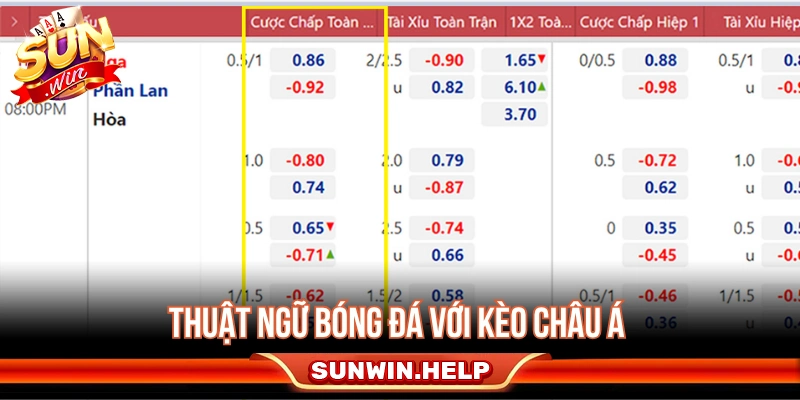 Tổng Hợp 10+ Thuật Ngữ Cá Độ Bóng Đá Phổ Biến Nhất Thuật ngữ bóng đá với kèo châu Á