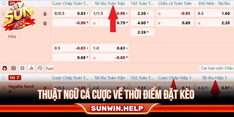 Tổng Hợp 10+ Thuật Ngữ Cá Độ Bóng Đá Phổ Biến Nhất Thuật ngữ cá cược về thời điểm đặt kèo